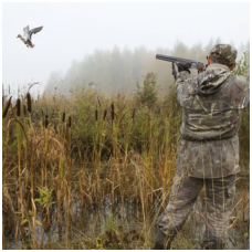 Duck hunting: an ancient tradition and an exciting activity