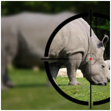 Poaching is a threat to wildlife heritage