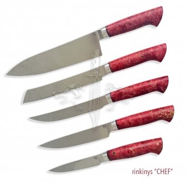 Set of kitchen knives CHEF, 5 pcs.