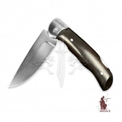 Folding knife "FANG" 1