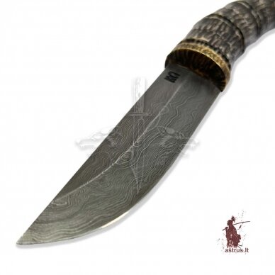 Knife ANGIS-12 handmade forged damascus steel, elk horn, bronze 2