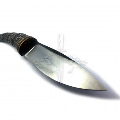 Knife “ANGIS-2” N690 Böhler Uddeholm, elk horn, bronze 3