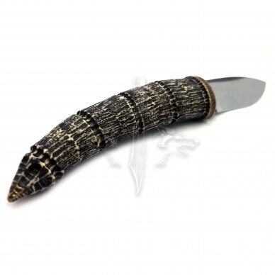 Knife “ANGIS-2” N690 Böhler Uddeholm, elk horn, bronze 4