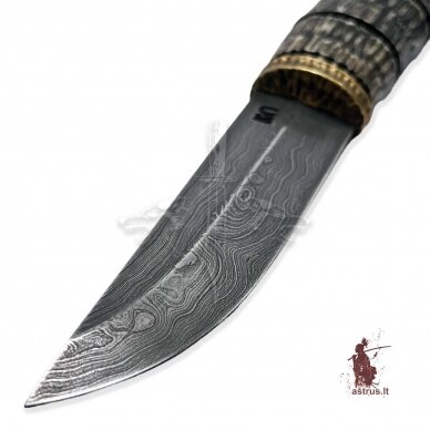 Knife "ANGIS-7"; damascus steel, elk horn, bronze 2