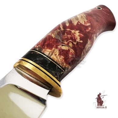 Knife "ОМах eXtra"[02] 95X18 stainless forged steel; maple burl stabilized +pigment (bloody red), brass 1