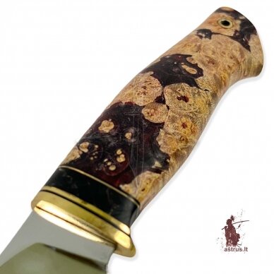 Unique knife "ОМах eXtra"[03] 95X18 stainless forged steel; maple burl stabilized +pigment (nature), brass 1